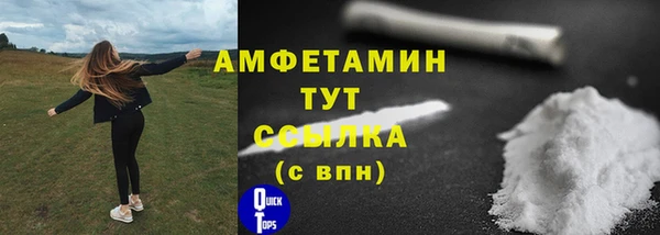 гашик Тавда