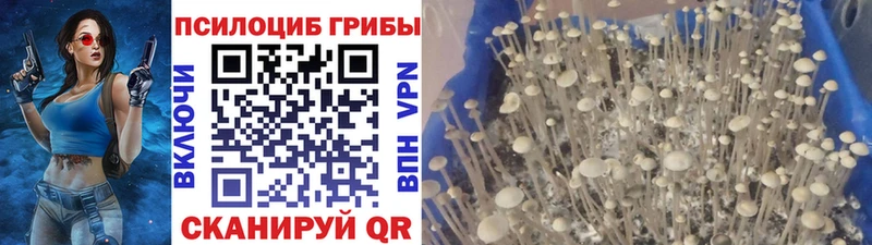 Псилоцибиновые грибы мухоморы  Сретенск 